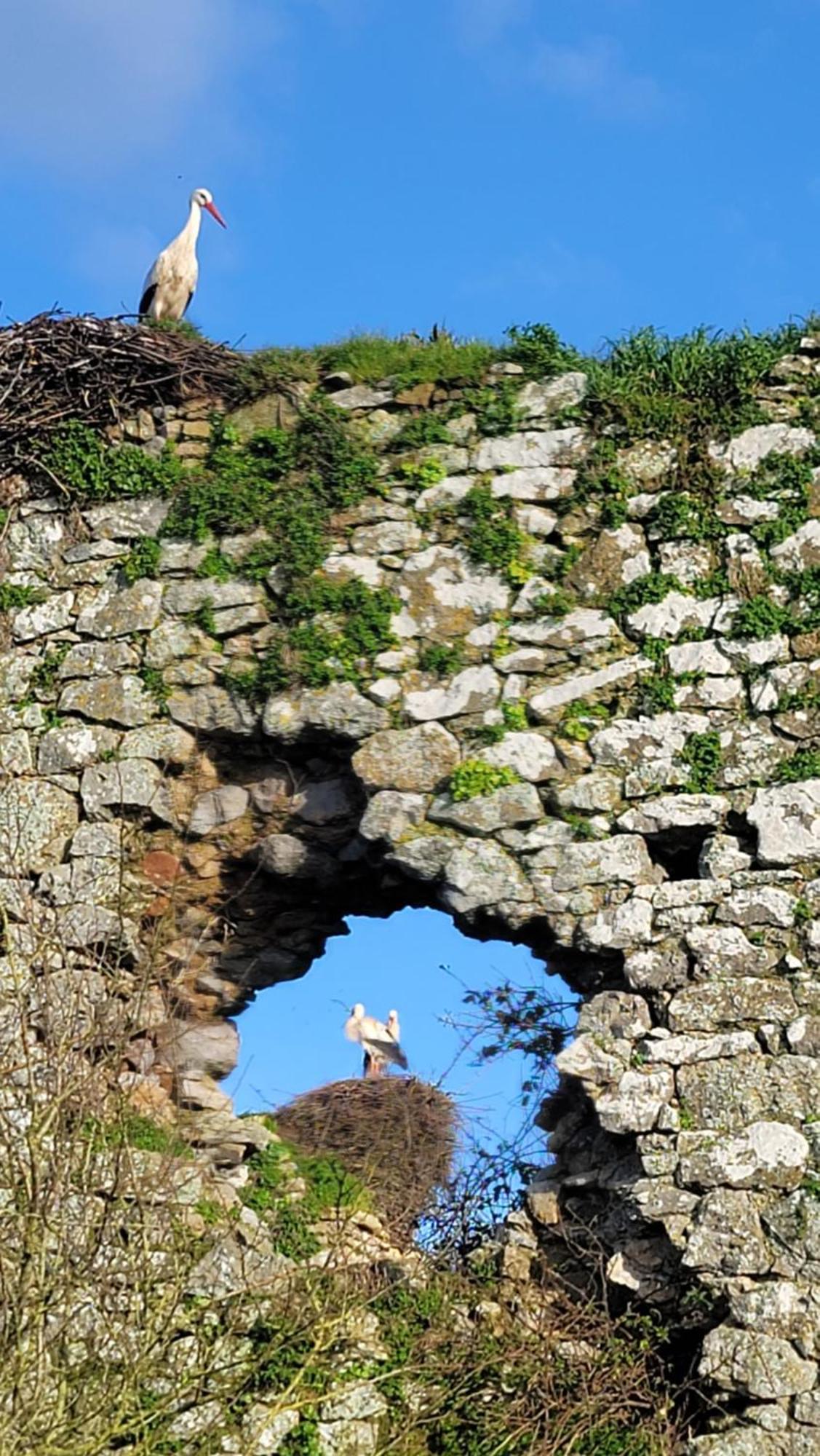 Gite Au Coeur Du Dday Brevands Εξωτερικό φωτογραφία